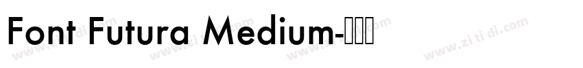 Font Futura Medium字体转换